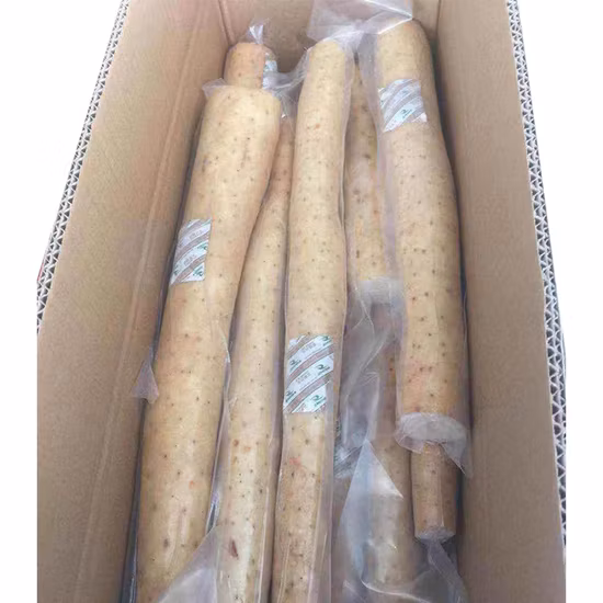 China Fresh Health Food Chinesische Yamswurzel mit Vakuumverpackung