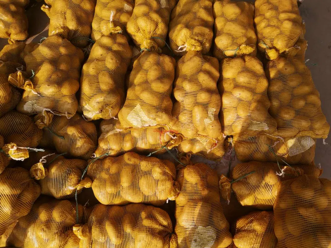 Chinese New Crop Selected Super Fresh Potato