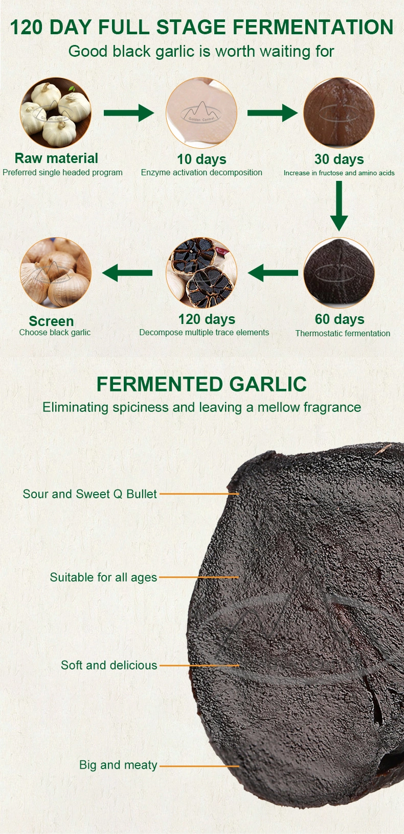 Top Quality Wholesale Black Garlic Exporter From Shandong