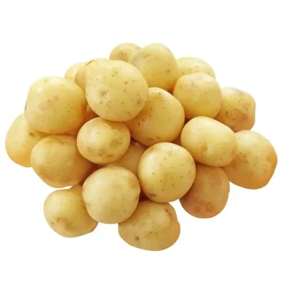 Frische Kartoffeln von guter Qualität (250 g und mehr) Frische Holland-Kartoffeln von guter Qualität